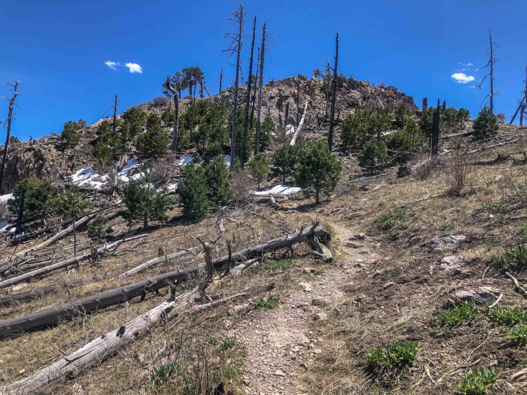 The path from Old Baldy Saddle to the summit. Snow patches remain in late April at 9,000 feet elevation. Lessons in humility: know the warning signs of heat illnesses.