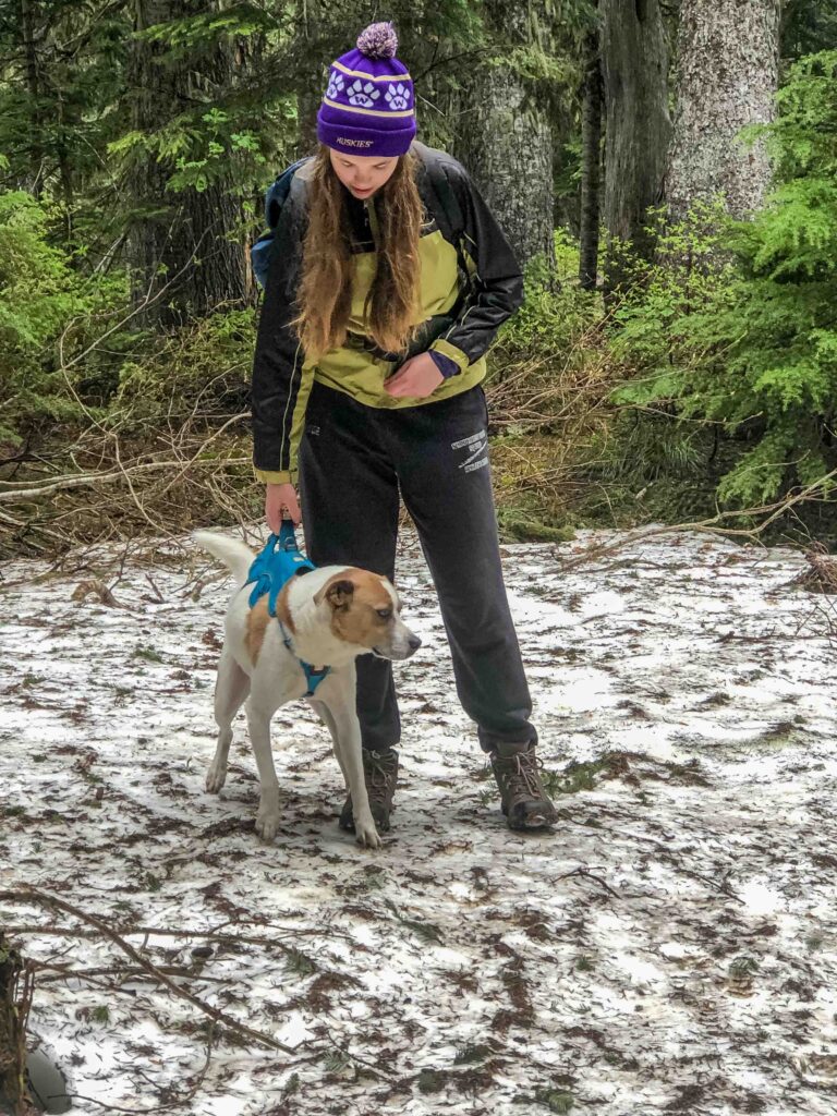 Suitcase doggie! My daughter and Ajax pose on a snow patch that persists into early summer. One way to coax new hikers is to promise something they'll enjoy. Snow, lakes, and an uncommon treat work for my daughter.