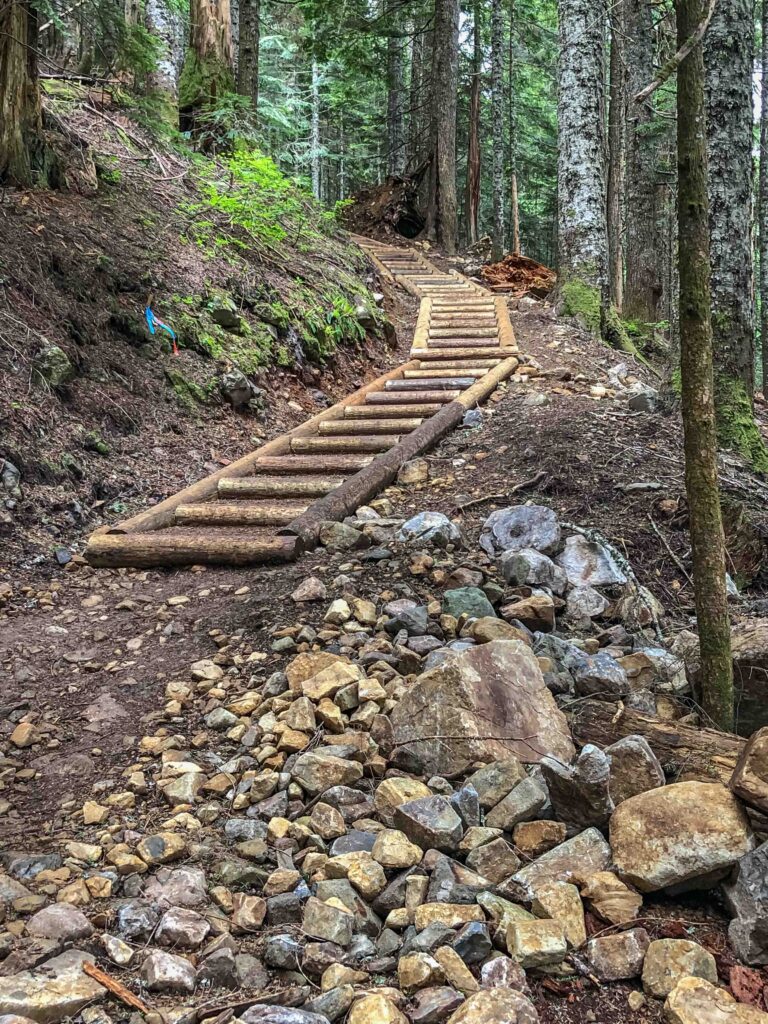Trail maintenance crews did a lot of work on the Annette Lake trail in 2022. They installed 288 steps (by my count) including a series of "crib ladders" such as these to improve footing.