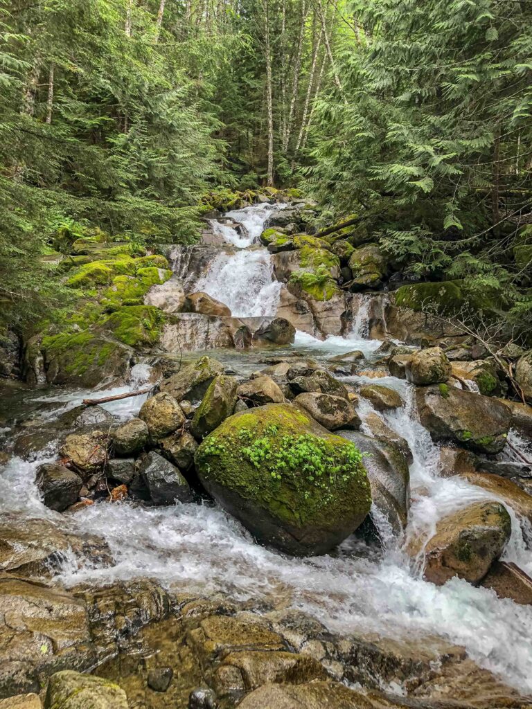 One way to coax new hikers is to stop to take frequent photo breaks. These beautiful falls are easily accessible, only .2 miles from the Annette Lake parking lot.