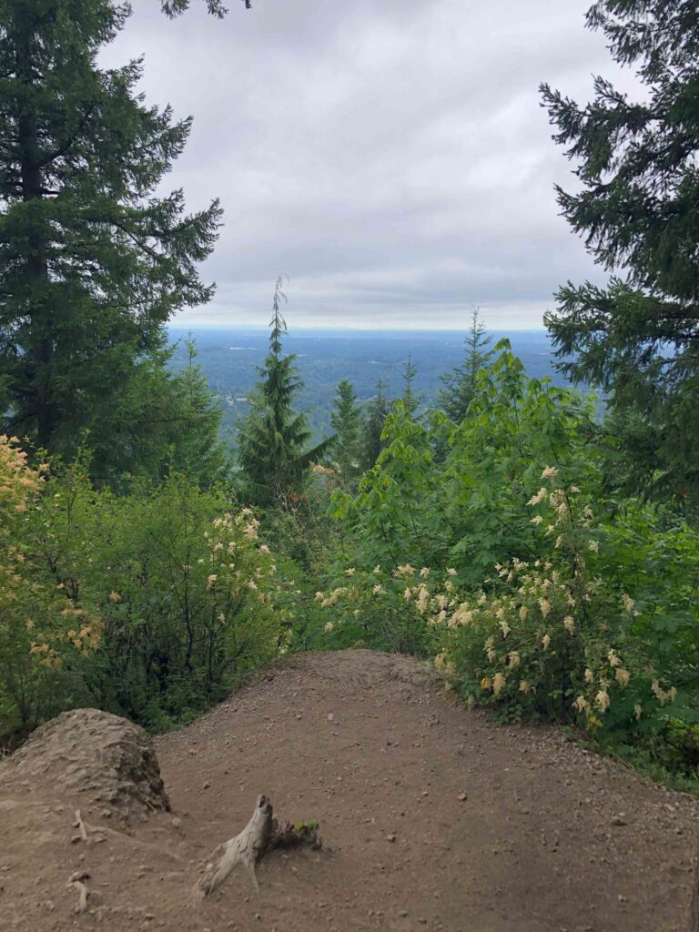 Goatsbeard, bleeding hearts, and clouds - but no view of Mt. Rainier from Debbie's View.