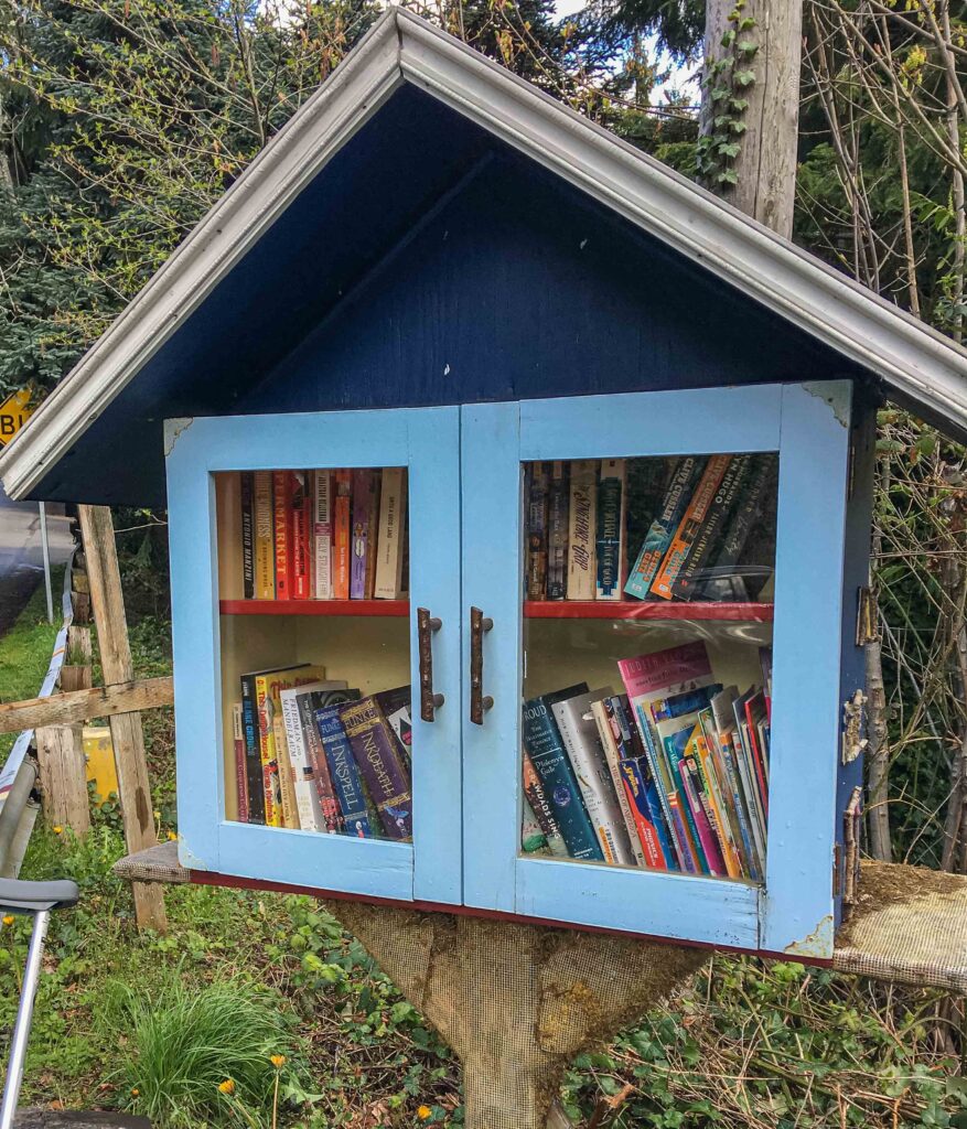 A Little Free Library near the stairs down to Lake Washington which I visited on my Cedar Park Elementary School ramble.