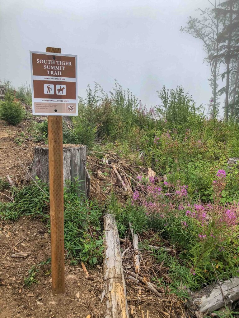 The signpost leading to South Tiger Summit Trail. Which path will you take next?