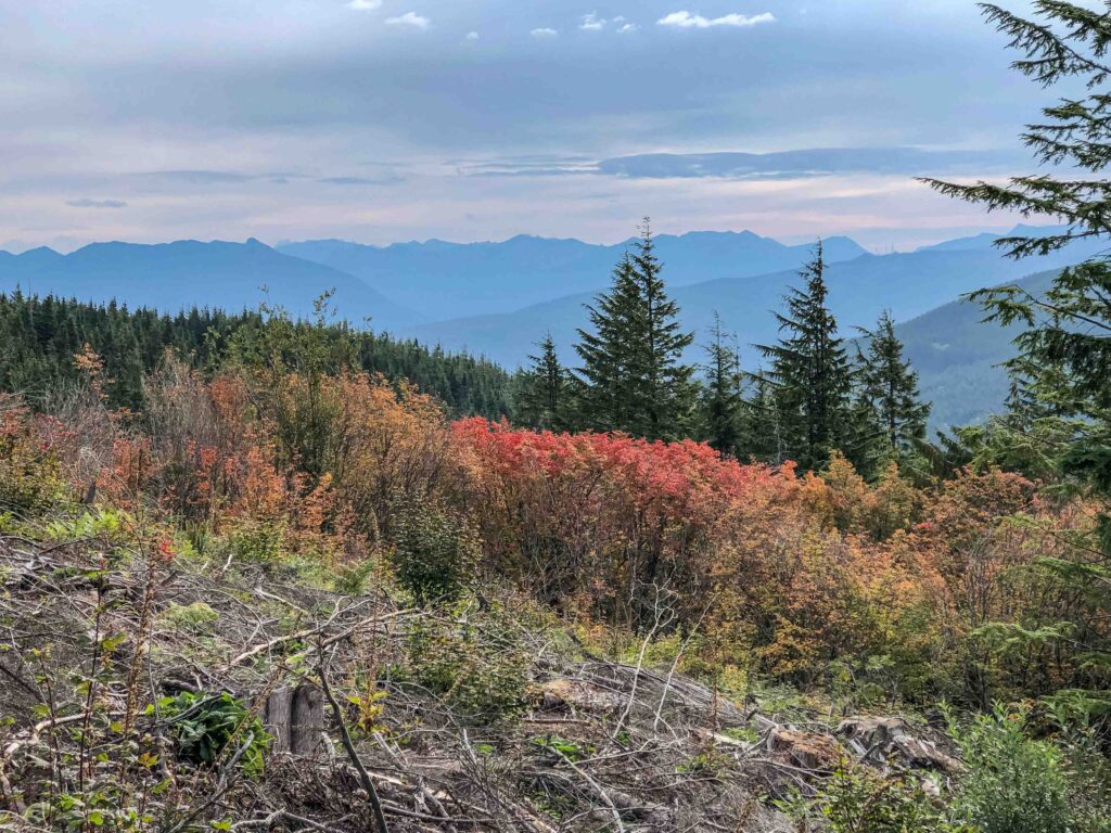 View toward the east from just east of West Tiger 1, en route to Preston/Bootleg trails. The fall color change has just started!