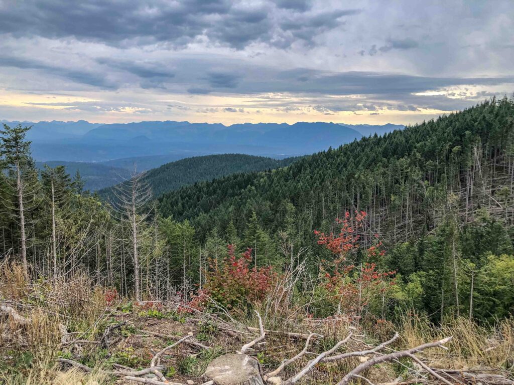 Our 10-mile hike felt like a race against time as a front moved into the mountains. The view is looking due north from the West Tiger 3 summit.