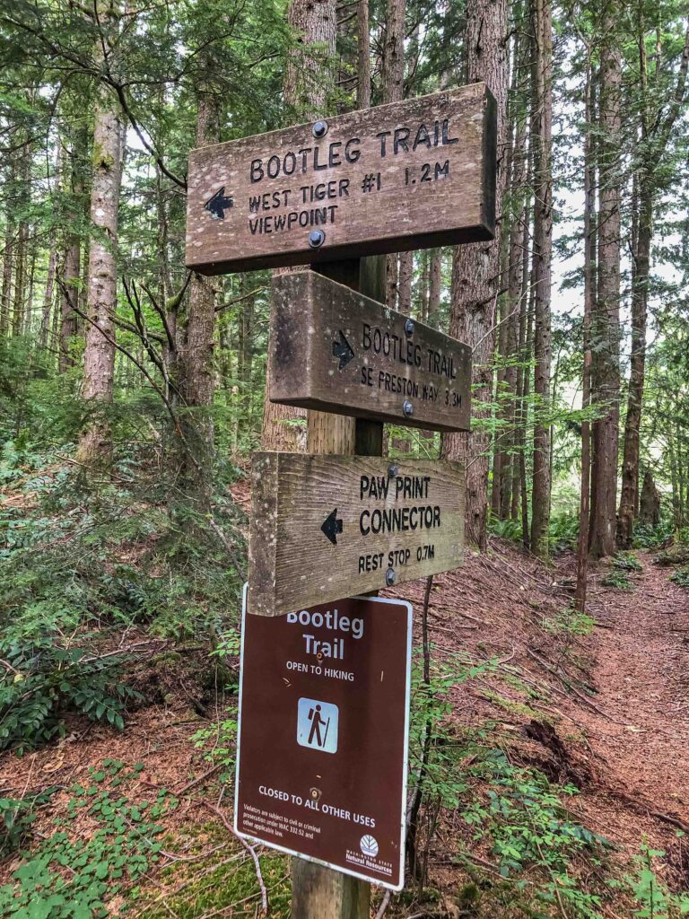 The overgrown entry into the forest east of all the logged areas is marked with a small rock cairn and faded pink ribbon on two bushes. The detour beneath the deforested boundary is not marked except by faded blue arrows on the uphill trees. 