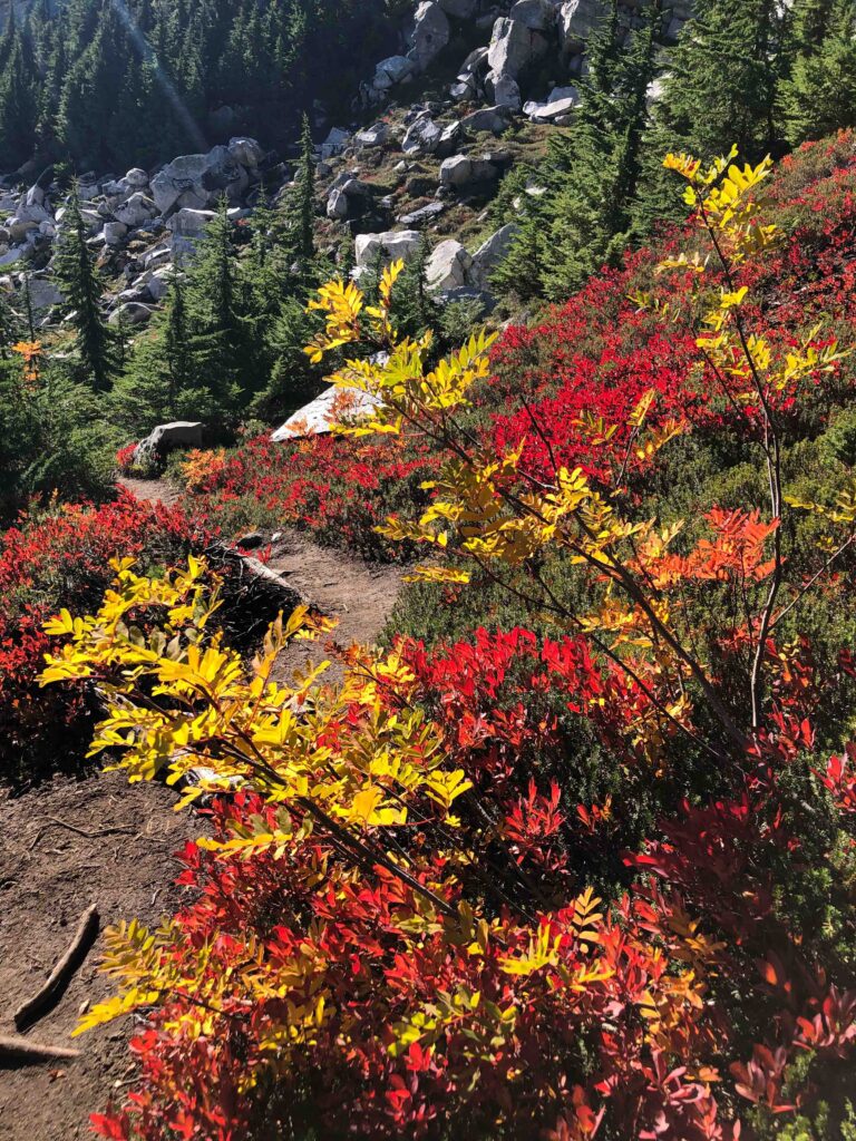 Consider your life as varied and colorful as Mother Nature's landscape. Everything provides balance until one color takes over. What do you need in order to restore balance in your life?