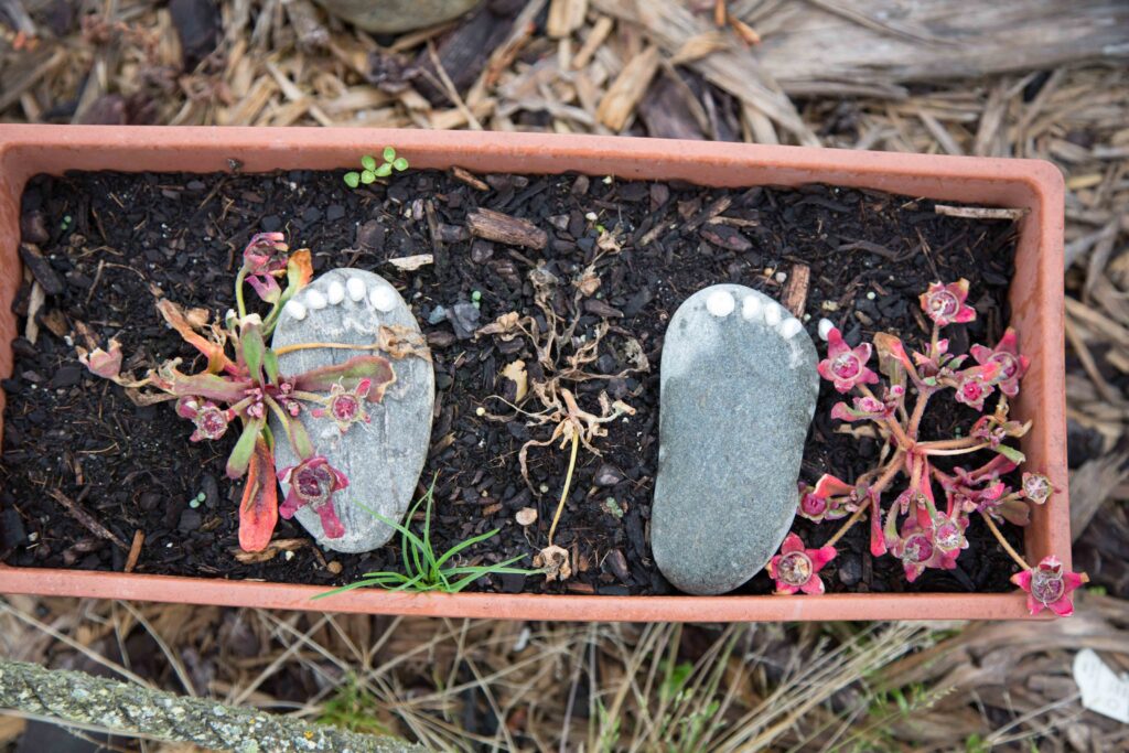 The care and attention that went into this tiny planter box is evident, with the five-toe stones next to appropriately sized plants. What can you find that makes you smile?