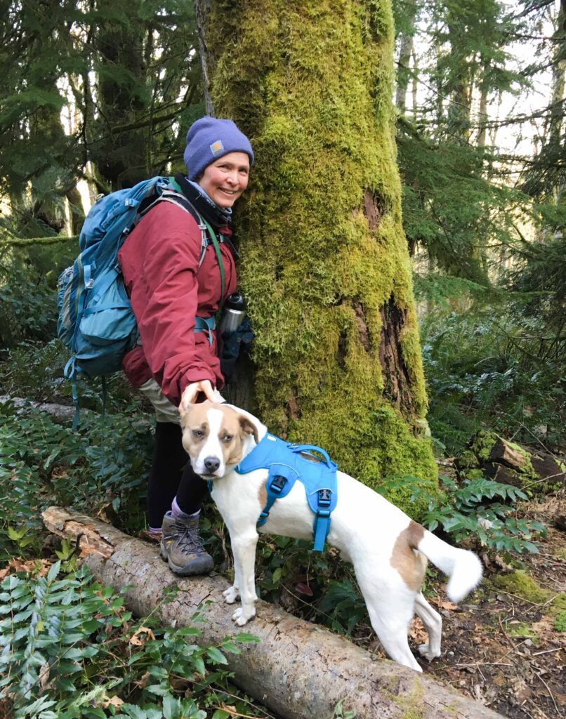 I used forest bathing techniques on a hike with Ajax in March, 2021 on one of our favorite trails on Tiger Mountain.