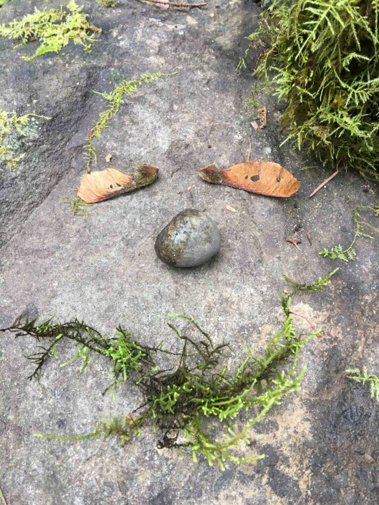 Out of respect to "Be a tree" I have never taken her picture, but at the end of my first forest bathing experience I did shoot a picture of the round stone, a symbol of my "go-go-go" nature that I strive to leave behind.