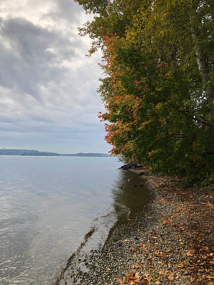 The peaceful calm of Lake Washington was exactly what I needed on November 1 instead of a long drive in the car!