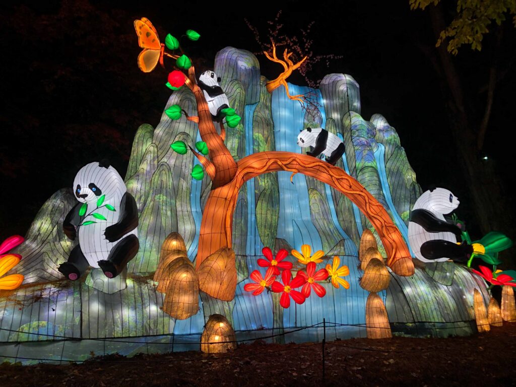 One idea for managing stress is to enjoy the Wildlanterns display at Woodland Park Zoo. Movement, festivities, fresh air, novelty - what could be better?