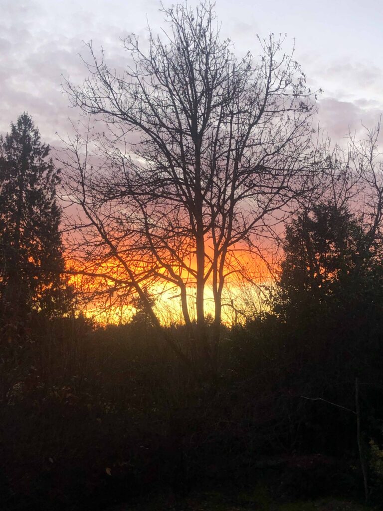 Advent adventures don't have to take much time. I enjoyed a recent sunrise from my back porch.