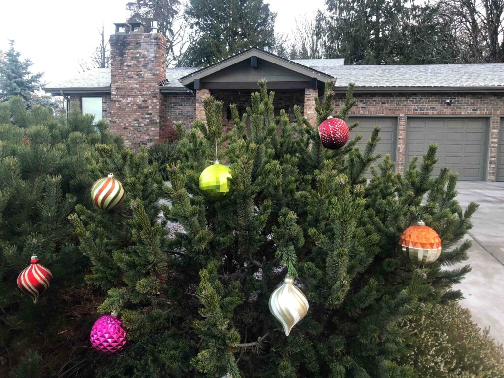 Beautiful baubles on an outdoor display during my Shoreline ramble yesterday.