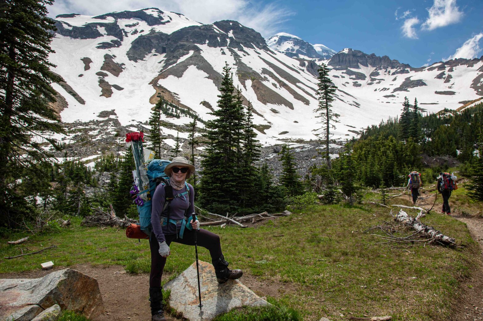 Spider Sleuthing in The San Juans – Day 6, Mommy Long Legs