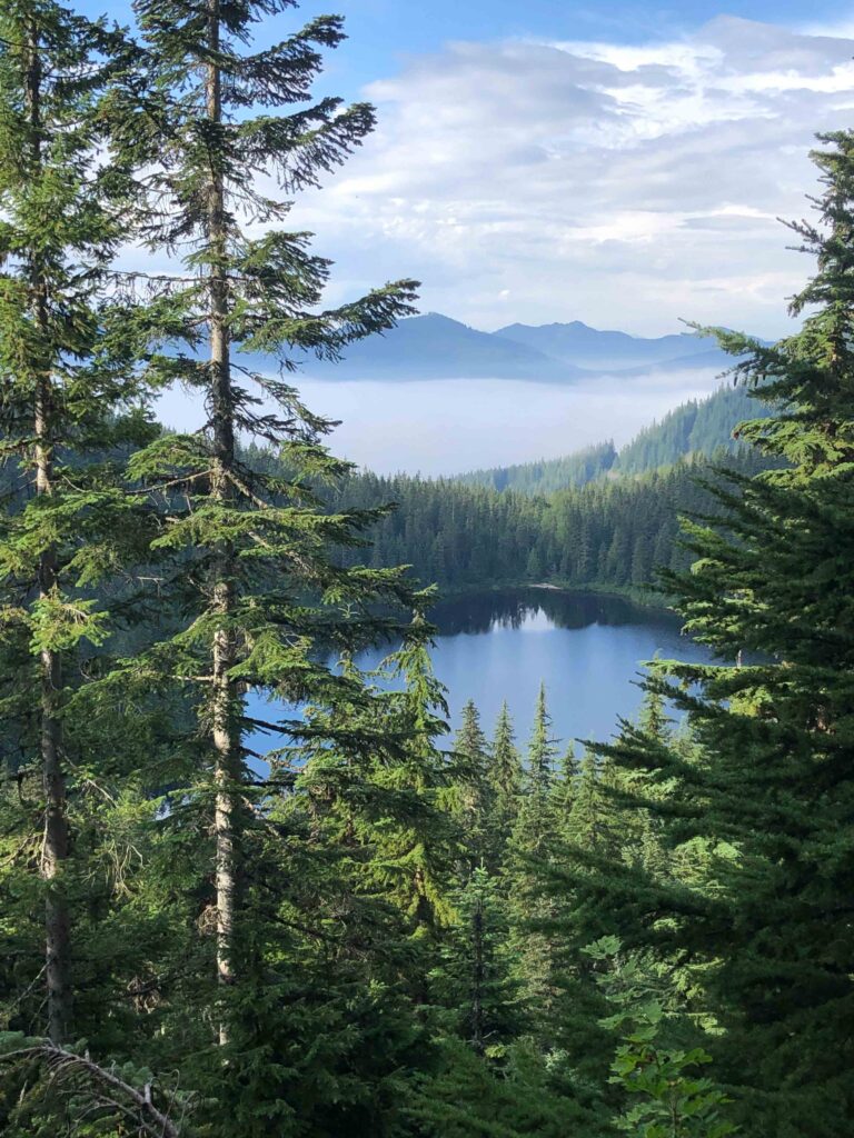 I may not always have time to get out to my happy place in the mountains. But I always have time for box breathing. Olallie Lake as seen from the trail to Rainbow and Island Lakes.