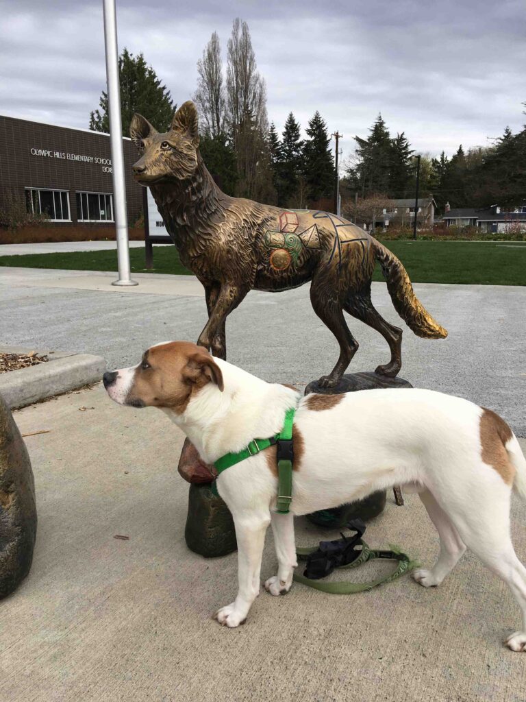 Ajax and a sculpture of a canine relative at nearby Olympic Hills Elementary School.