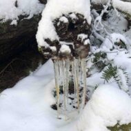 How to Develop a Life Purpose Map - CourtSchurmanGO.com