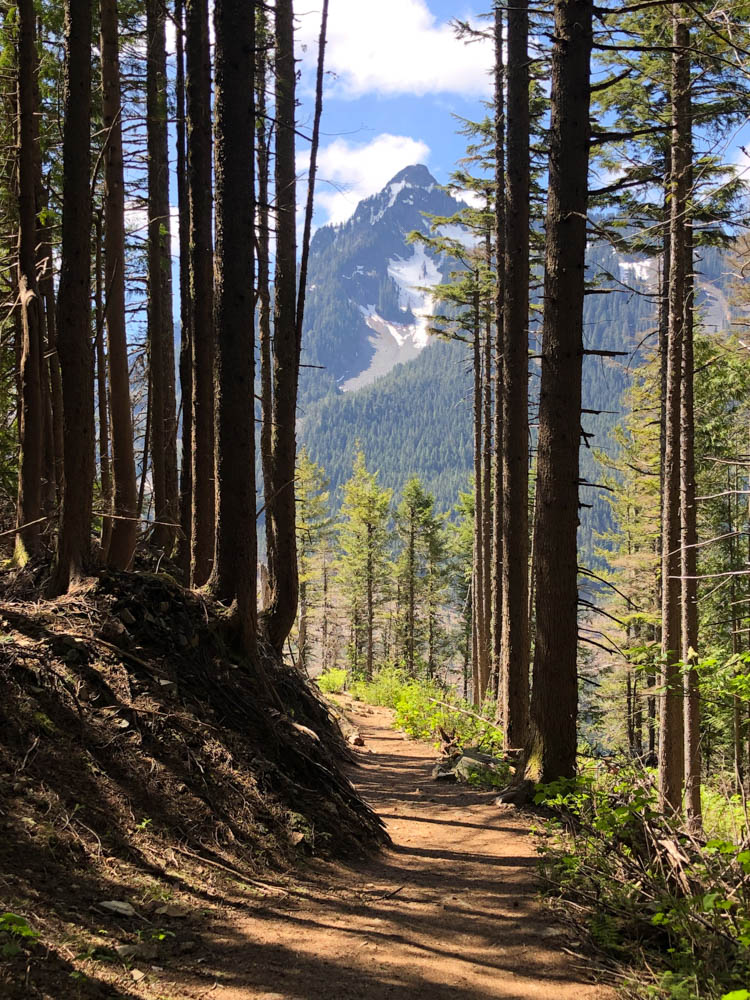 On our hike down from Dirty Harry's Balcony I saw this wonderful view of McClellan Butte through the trees. I've put off trying it for years since I haven't done it since 1990. COMMITMENT: I will hike it this year and report it in my blog.