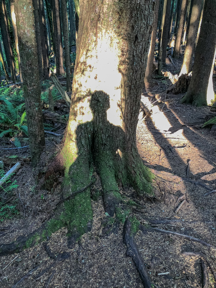 I make hiking a 5-senses experience, including looking for my shadow and cool photo opportunities.