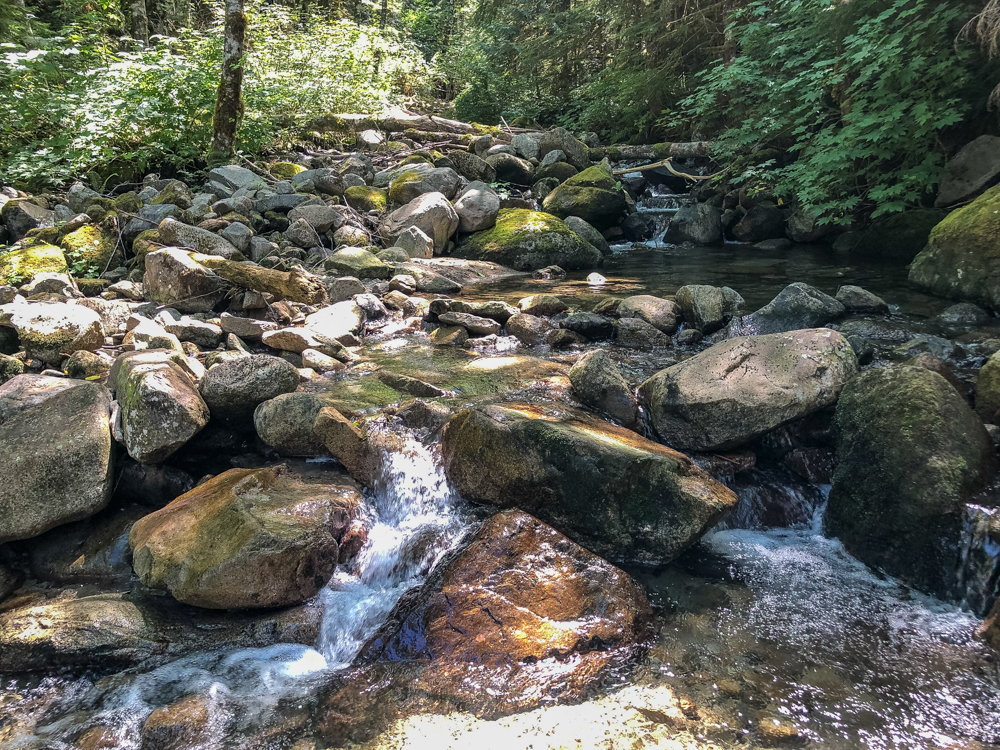 Granite Creek under the bridge leading up to Granite Lakes during our celebration hike.