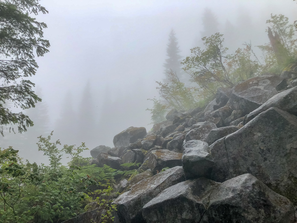 Hiking is a great metaphor for attaining any goal. Sometimes fog makes it hard to see the next few steps in front of you. I've felt that way the past few weeks, trying to figure out what's next.