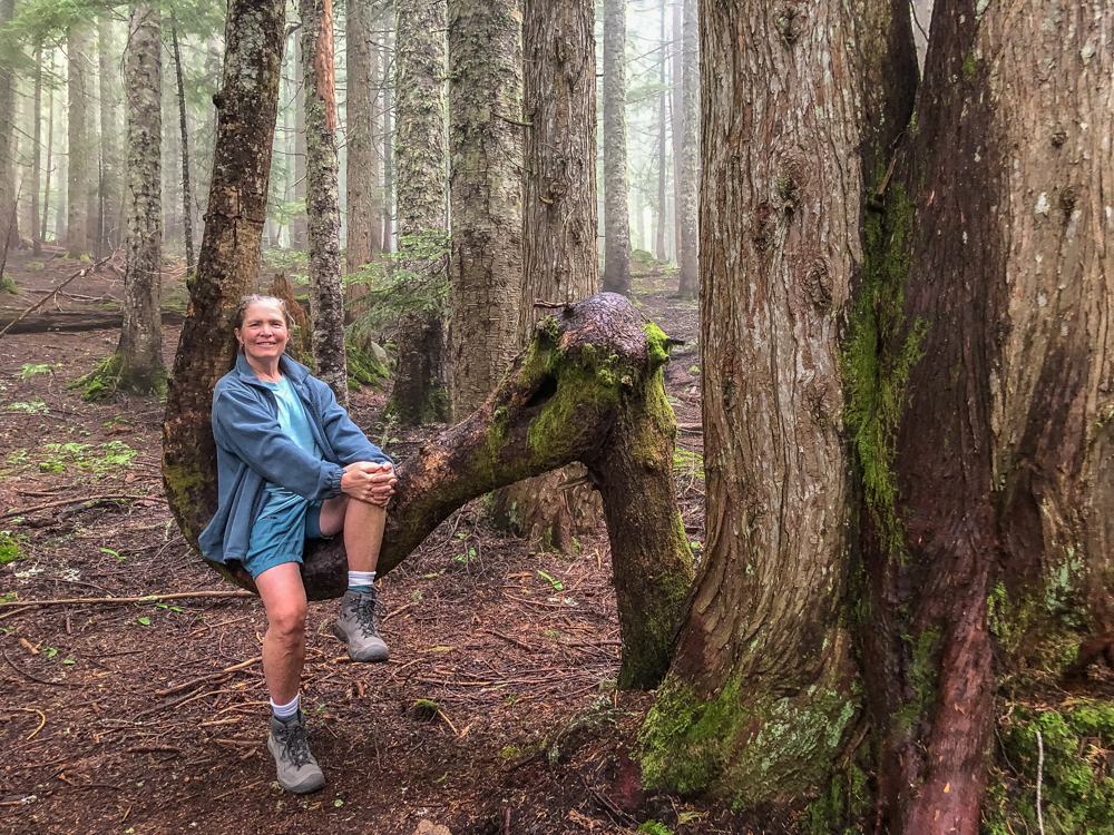 The "elephant tree" on the trail between Talapus and Olallie Lakes, is a great photo opportunity.