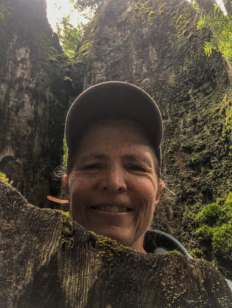 Author selfie in a burned-out tree near a single-rail bridge between Pratt Lake Trailhead and Olallie Lake.