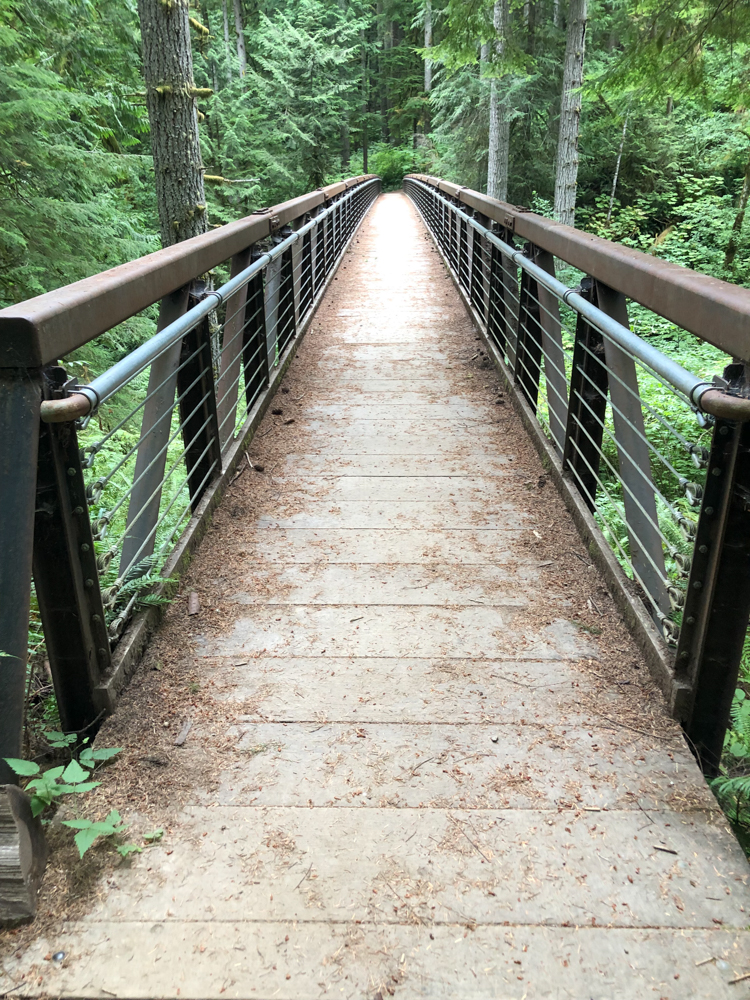 The 200-foot long Murat's Bridge crosses a ravine to connect the TMT to High Point Trail.