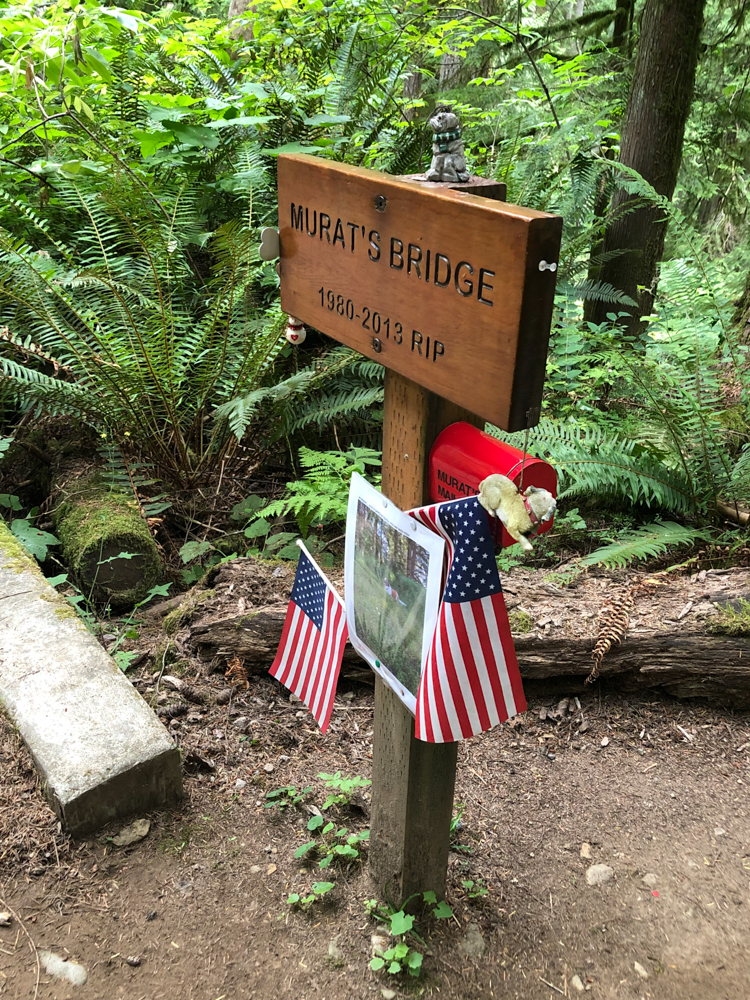 The 200-foot long Murat's Bridge crosses a ravine to connect the TMT to High Point Trail.