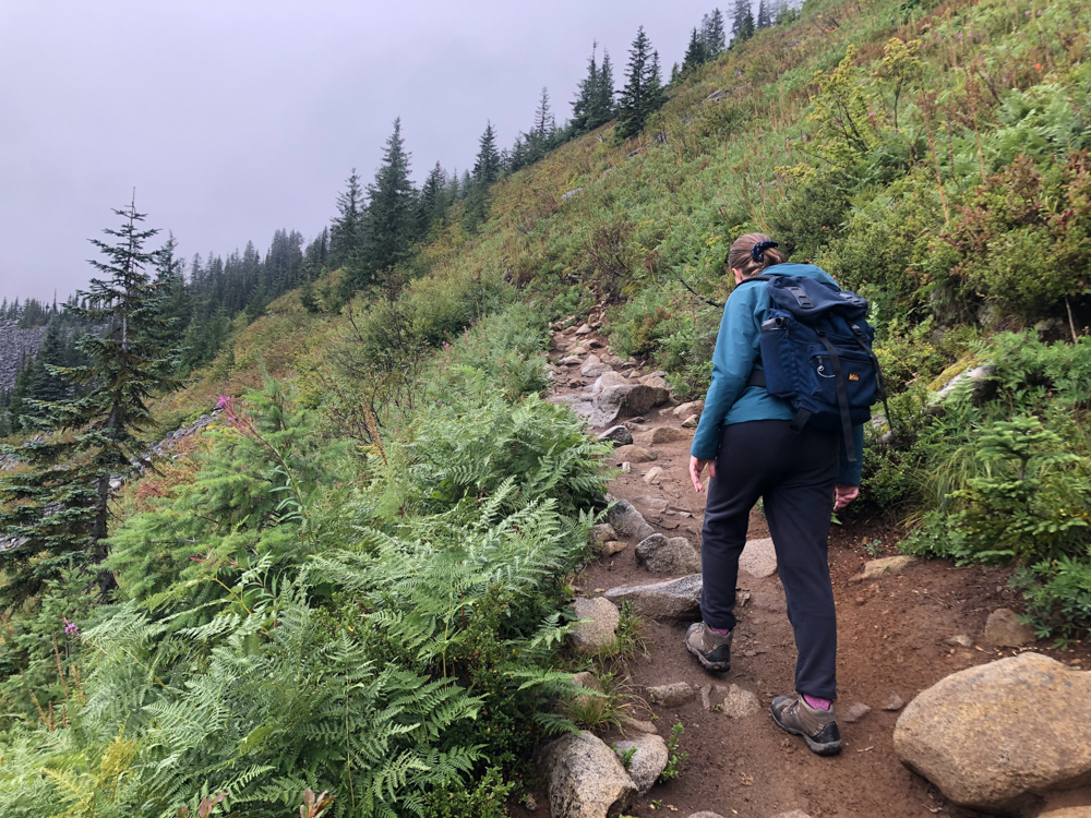 My daughter heads up the rocky trail toward the ridge crest, through fireweed, ferns, and picas.