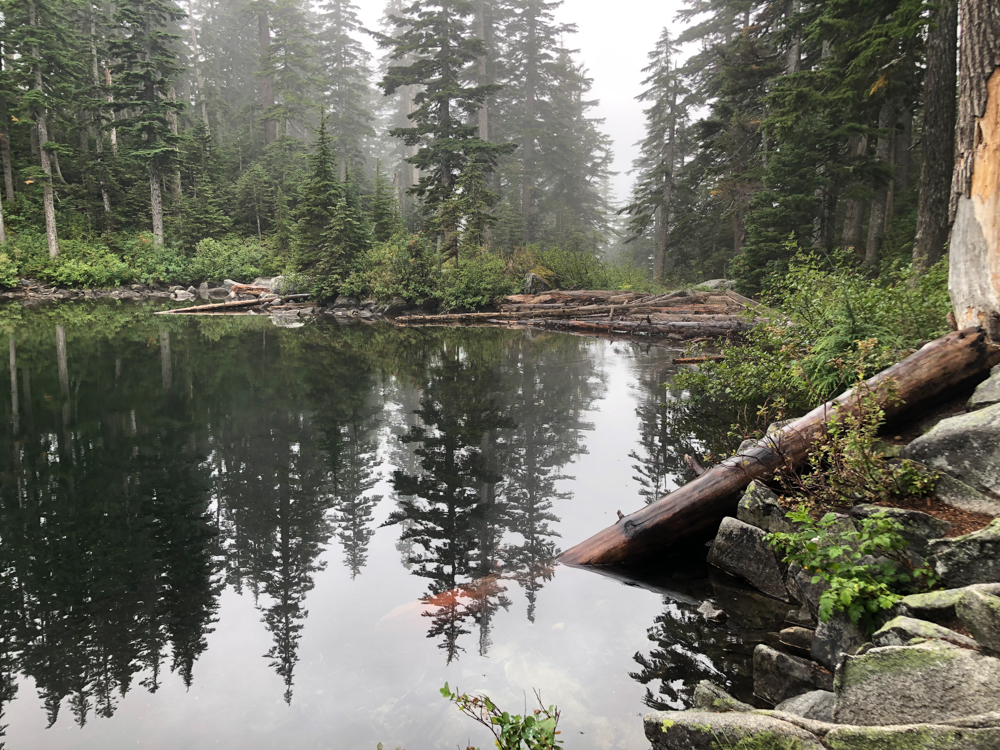 How to Enjoy Rain: Try a Foggy Hike to Mason Lake