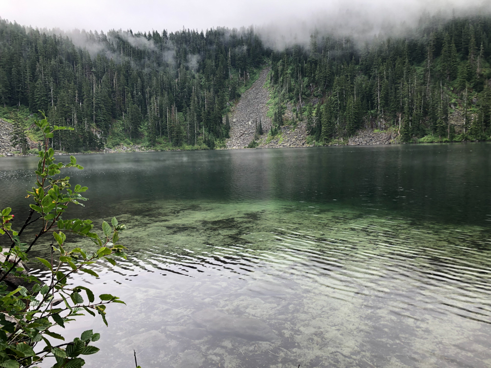 The shore of Mason Lake near one of the camping spots. We'll return next summer so we can try swimming when it's warmer.