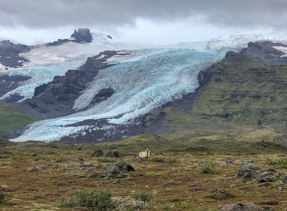 Fire and Ice: How to Explore Iceland, Week 1