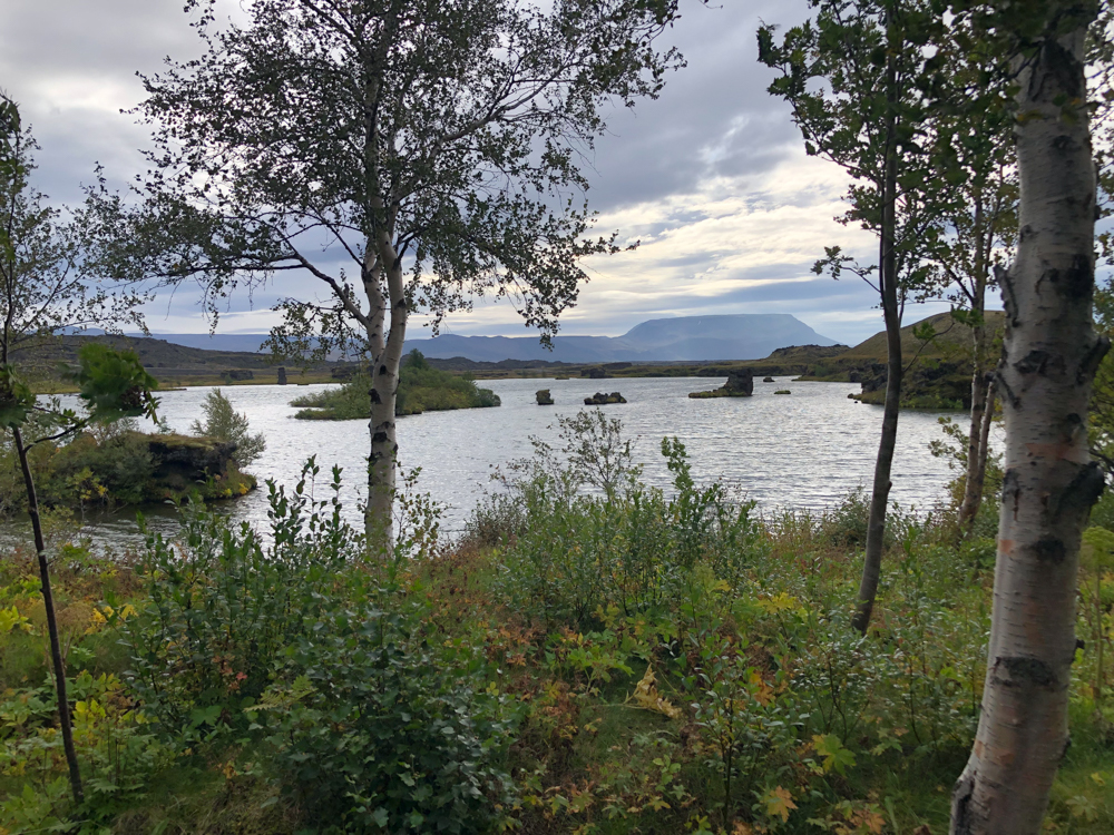 Lake Myvatn is an oasis for birds and has many volcanic features around the edge. A wonderful biking/walking path is being built around the perimeter. 