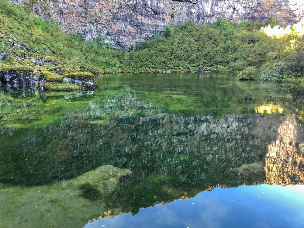 The peaceful serenity of the protected Asbyrgi Canyon.