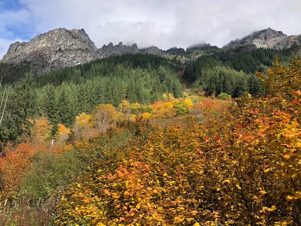 Beautiful fall colors below the stunning peaks surrounding the ghost town of Monte Cristo.