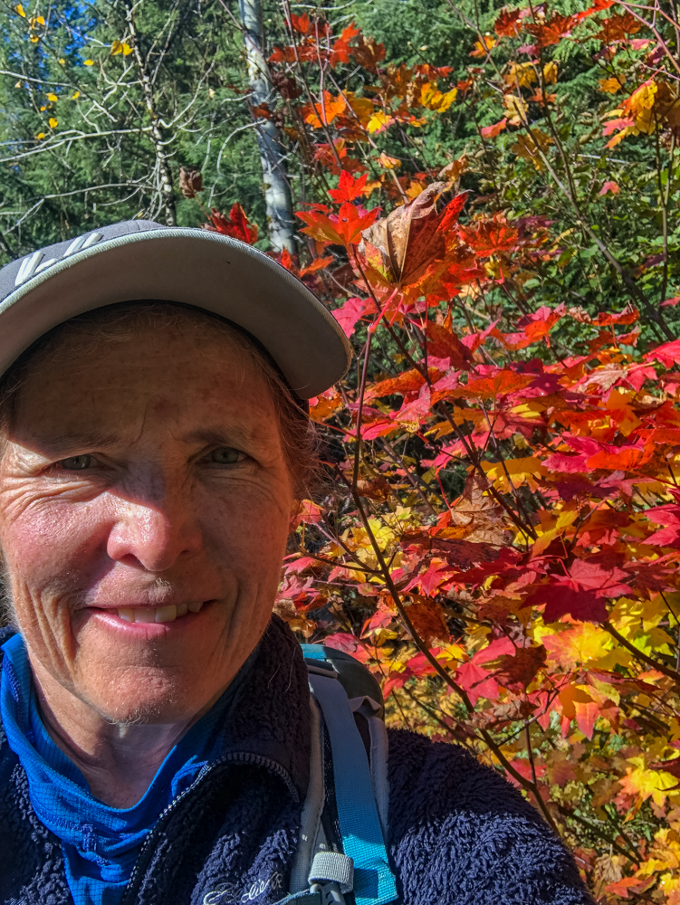 Fall beauty energizes me. I love going on color walks, color hunts, and explorations in October, my favorite hiking month.