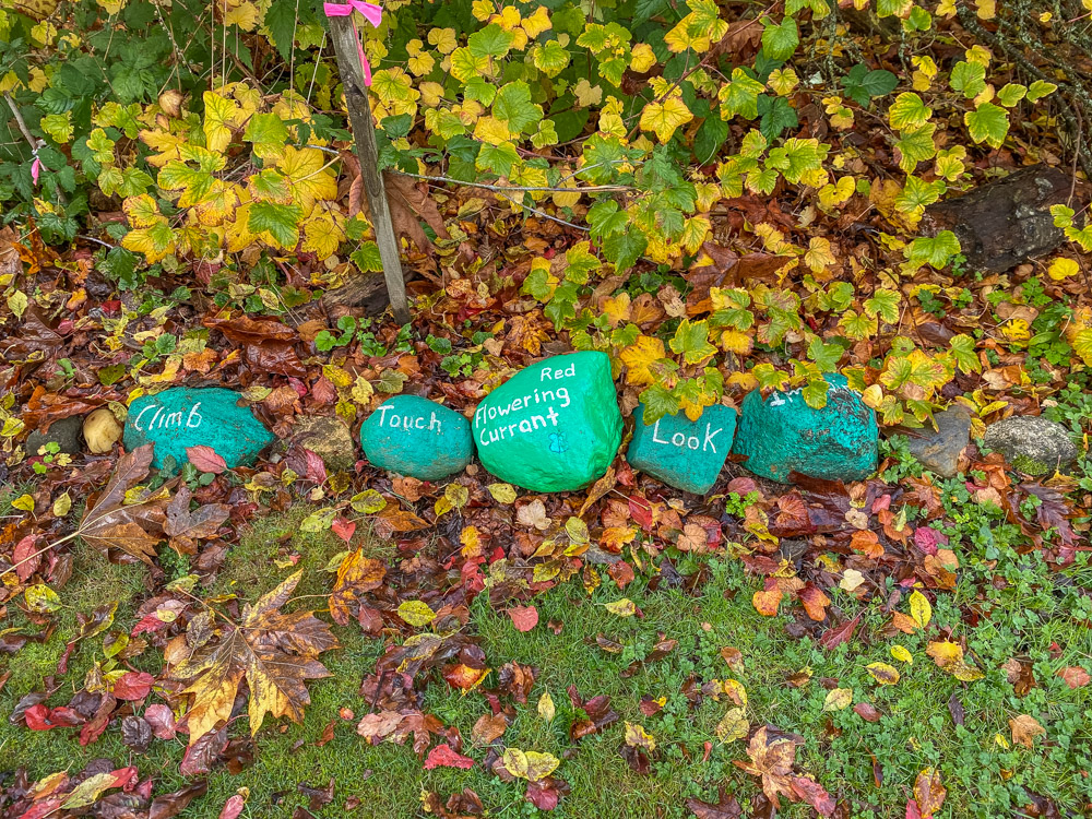 Beautiful signage for local plants.