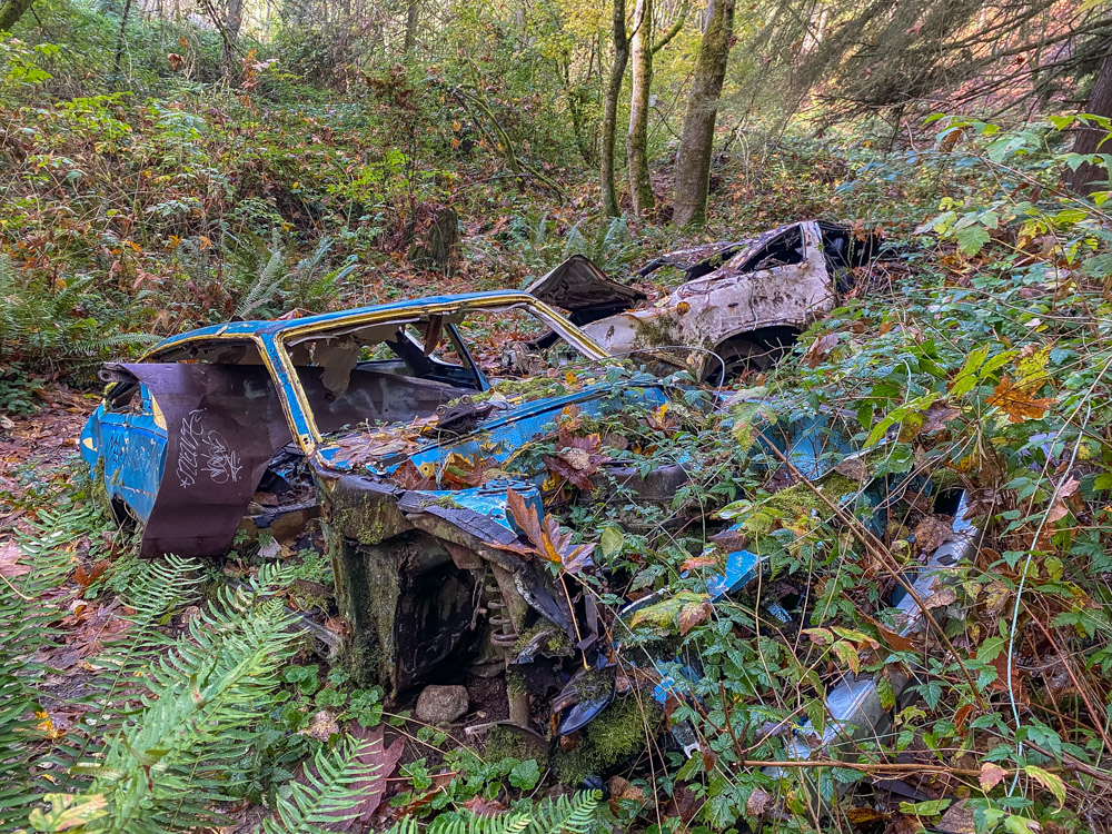 Three cars are being reclaimed by nature.