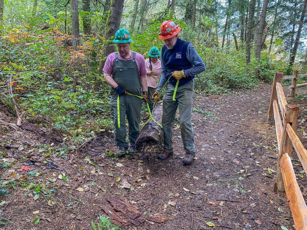 Our task at Kasch Park was to decommission a trail so that the wetlands could recover. Moving logs that took four people required teamwork and common purpose.