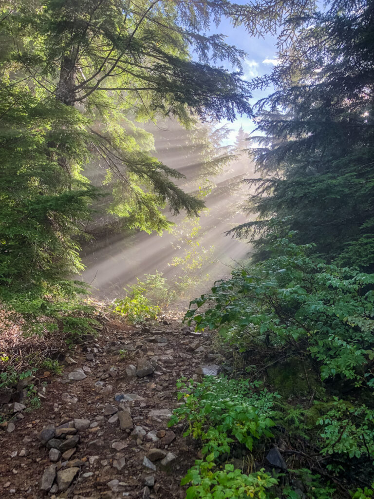 Noticing details like these sun rays on Teneriffe makes it easier to remember unique moments I want to revisit. When you have taken over 61,000 pictures that can be a challenge.