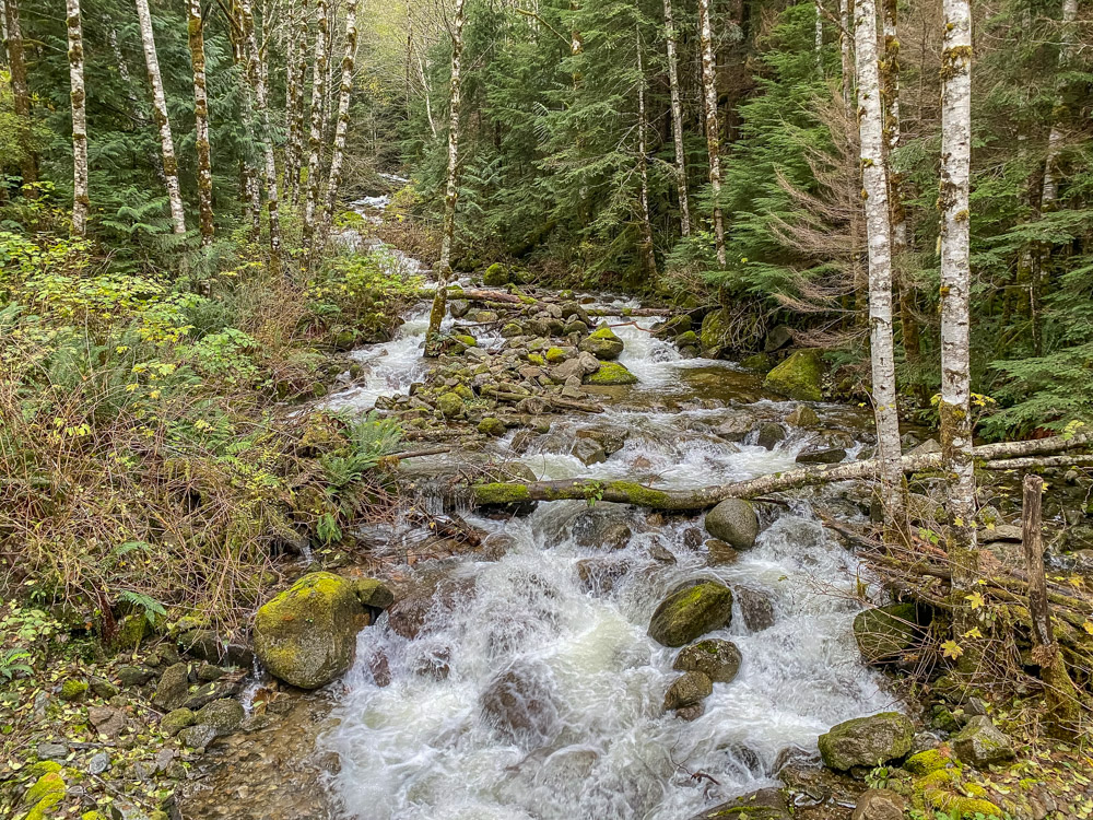 Raging Granite Creek along the trail to Granite and Thompson Lakes.