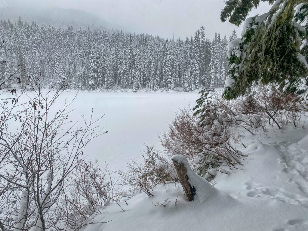 Olallie Lake on December 17. I had the trail to myself except for two women and their dog.