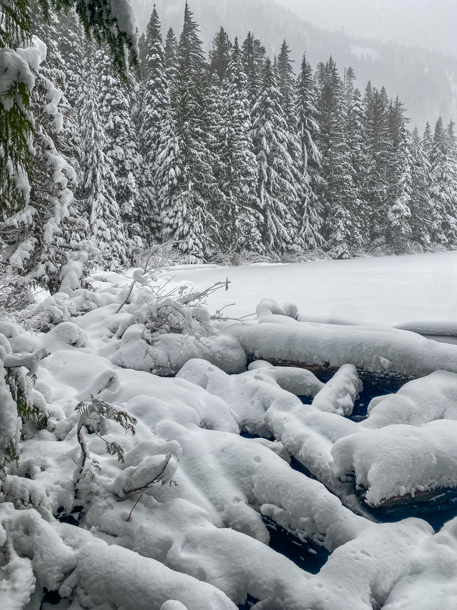 How to Appreciate An Unexpected Moment: Hiking and Healing