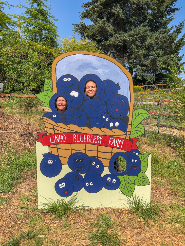 July berry-picking days may be far away, but they remind me of all the many ways I enjoy nature with my family.