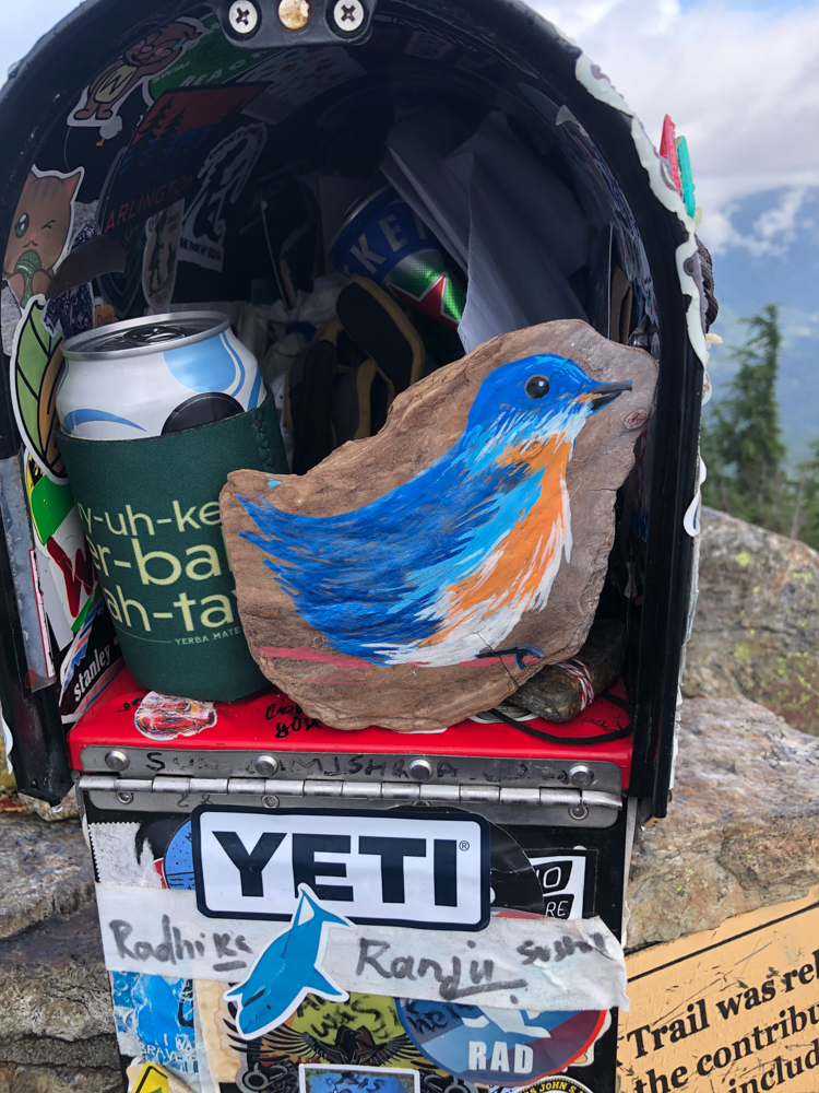 The contents inside Mailbox Peak's mailbox.