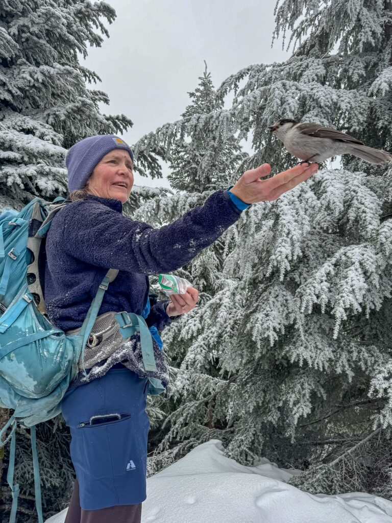 Public speaking may not be as awe-inspiring as interacting with Canada jays that visit my hand, but I'm learning there's a new thrill to imparting knowledge, whether on or off the trail.