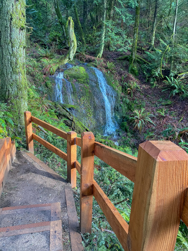 Doughty Falls and the brand new stairs and railing trail workers have built.