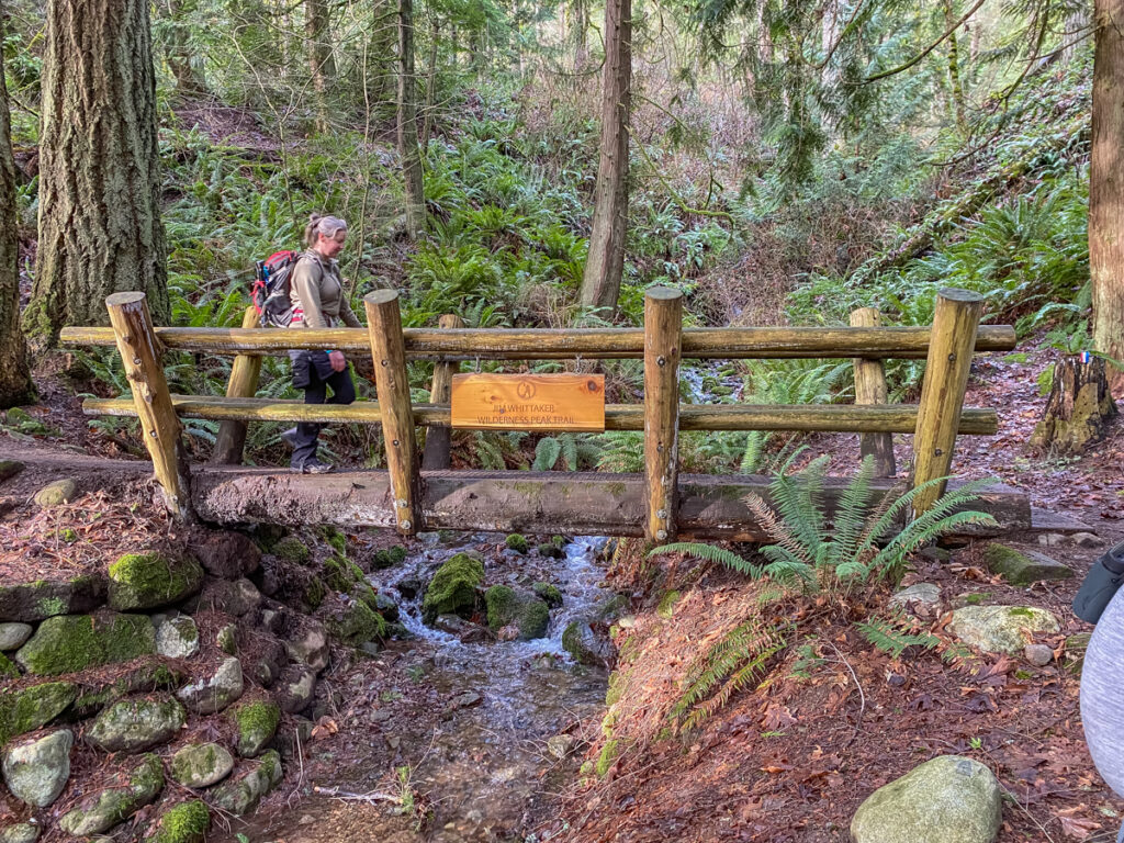 The entry bridge to Whittaker Wilderness on the east side of Cougar Mountain.